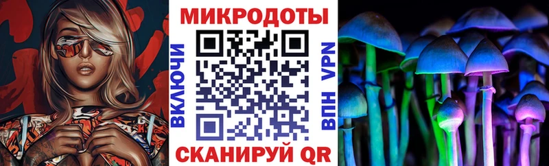 Купить где  Черепаново  Псилоцибиновые грибы мицелий 