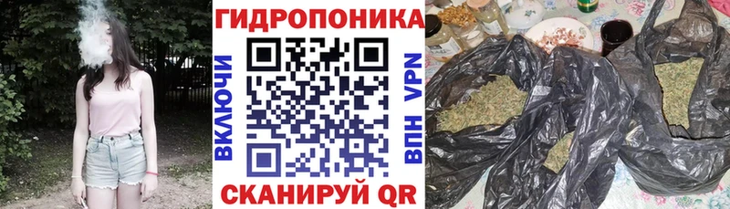 Конопля план  Купить где  Черепаново 